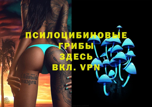 дживик Алексин