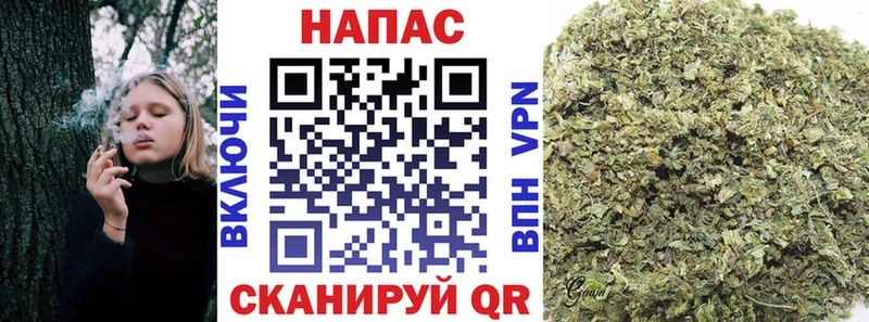 darknet официальный сайт  Неман  Бошки Шишки сатива 